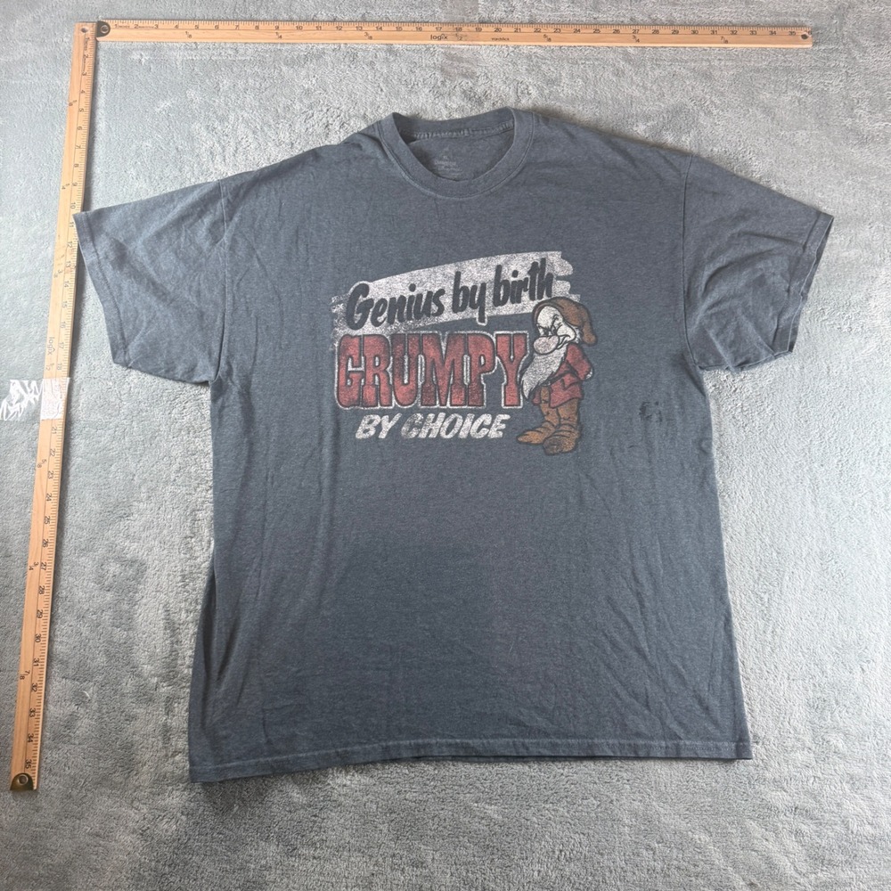 Disney Grumpy T Shirt Mens XL Gray‎ Genius By Birth Grumpy By Choice Disneyland